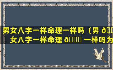 男女八字一样命理一样吗（男 🐧 女八字一样命理 🐘 一样吗为什么）